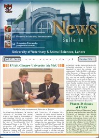 News Bullitin Oct-08