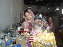 DSC04653