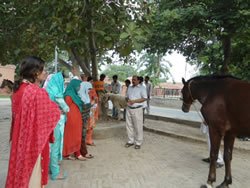 DSC05080