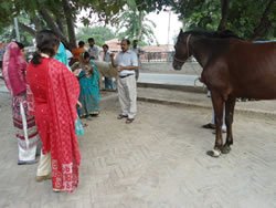 DSC05084