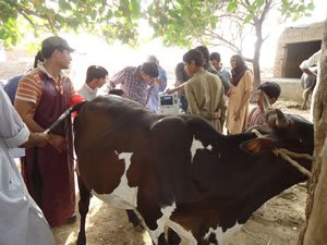 DSC02596