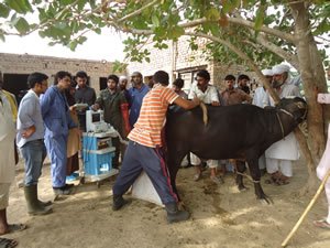 DSC02601