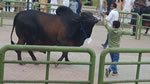 IMG-20170315-WA0017