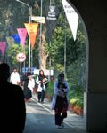 DSC 3564