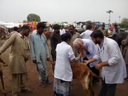 IMG 20150921 113505