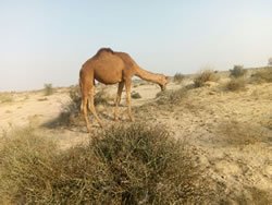 IMG-20171229-WA0062