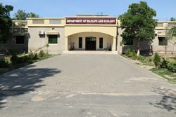 1. Dept Building D