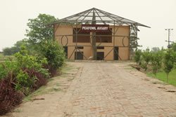10 Pefowl Avairy B (2)