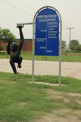 3. Research And Training Facilities V