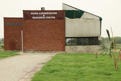 9.ACRC1 (2)