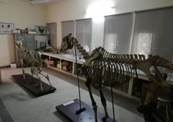Anatomy Lab