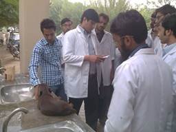 kamran 1.jpg
