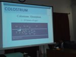 Dairy Club 7th Meeting