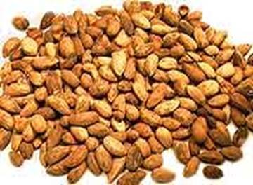 Description: neem